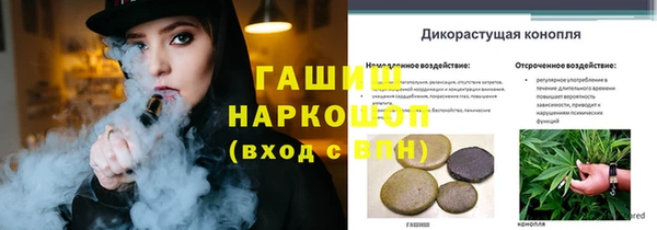 молекула духа Зерноград
