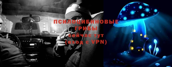 дживик Зеленодольск