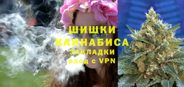 дживик Зеленодольск
