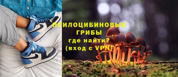 дживик Зеленодольск