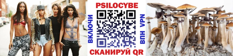 Купить закладки  Ершов  Галлюциногенные грибы ЛСД 
